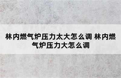 林内燃气炉压力太大怎么调 林内燃气炉压力大怎么调